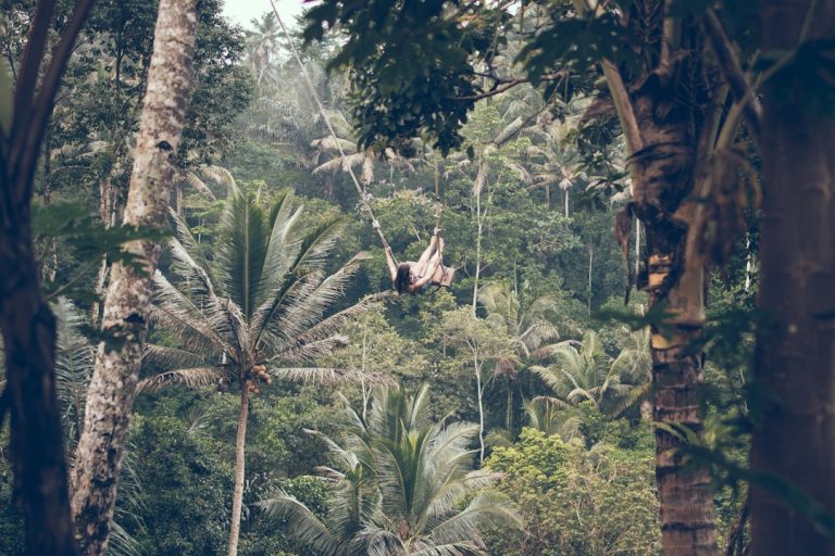 Unleashing Your Inner Explorer: Embracing Adventure in Outdoor Travel